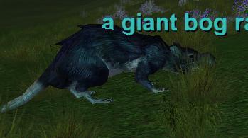 a giant bog rat